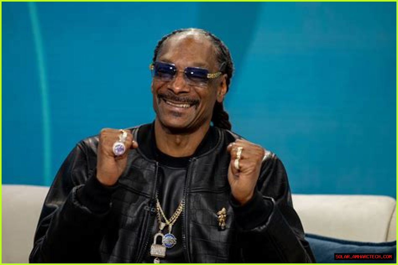 Unveiling The Truth: Is Snoop Dogg A Felon?